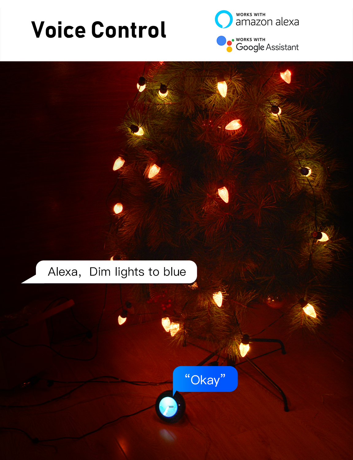 C9 Strawberry Outdoor String Lights Aleax Control 10M