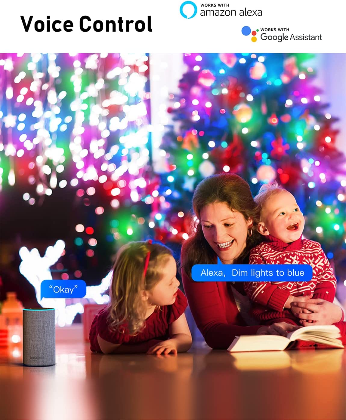 Outdoor Christmas Lights Aleax Control