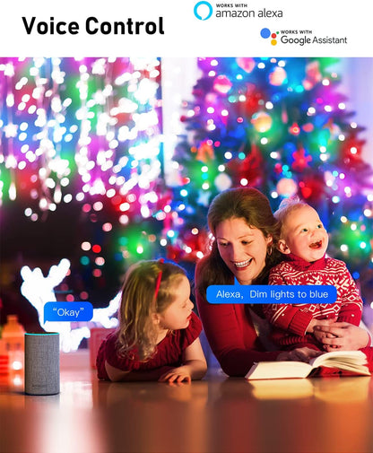 Outdoor Christmas Lights Aleax Control