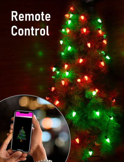 C9 Strawberry Outdoor String Lights Aleax Control 10M